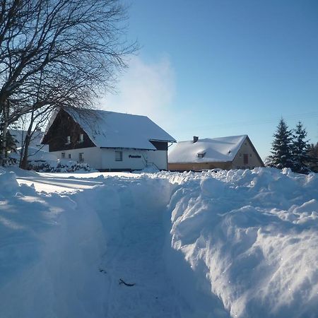 Pension Pugner Vysoke nad Jizerou Bagian luar foto