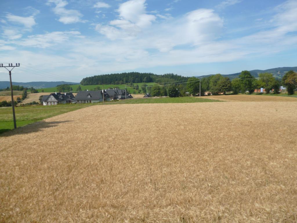 Pension Pugner Vysoke nad Jizerou Bagian luar foto