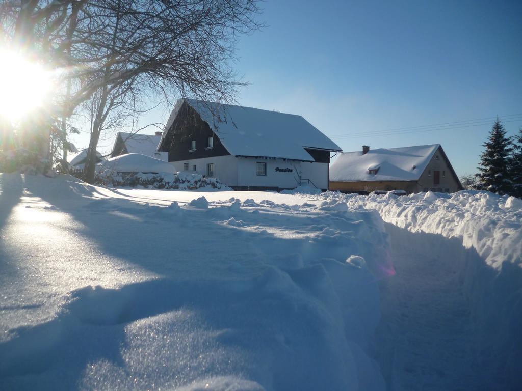 Pension Pugner Vysoke nad Jizerou Bagian luar foto