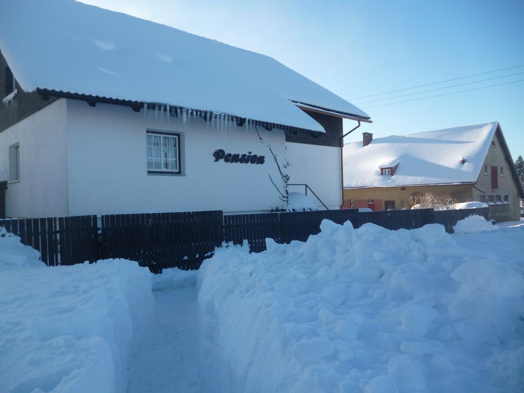 Pension Pugner Vysoke nad Jizerou Bagian luar foto
