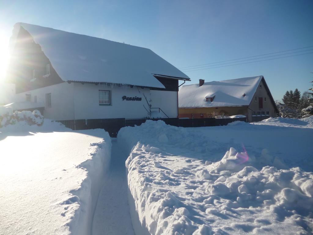 Pension Pugner Vysoke nad Jizerou Bagian luar foto